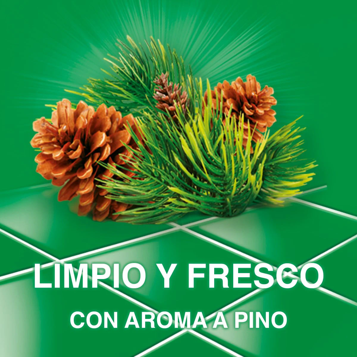 Limpa-Chão Pinho Ajax 1.25Lt