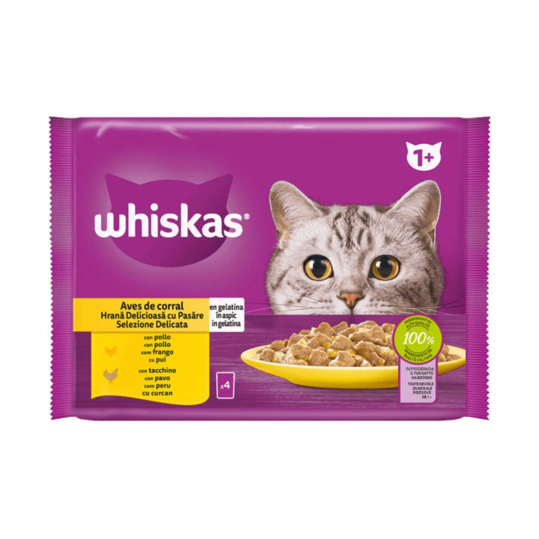 Comida Húmeda Gatos Selección Aves Gelatina Whiskas Pack 4X85G Comida Húmeda Gatos Selección Aves Gelatina Whiskas Pack 4X85G 0