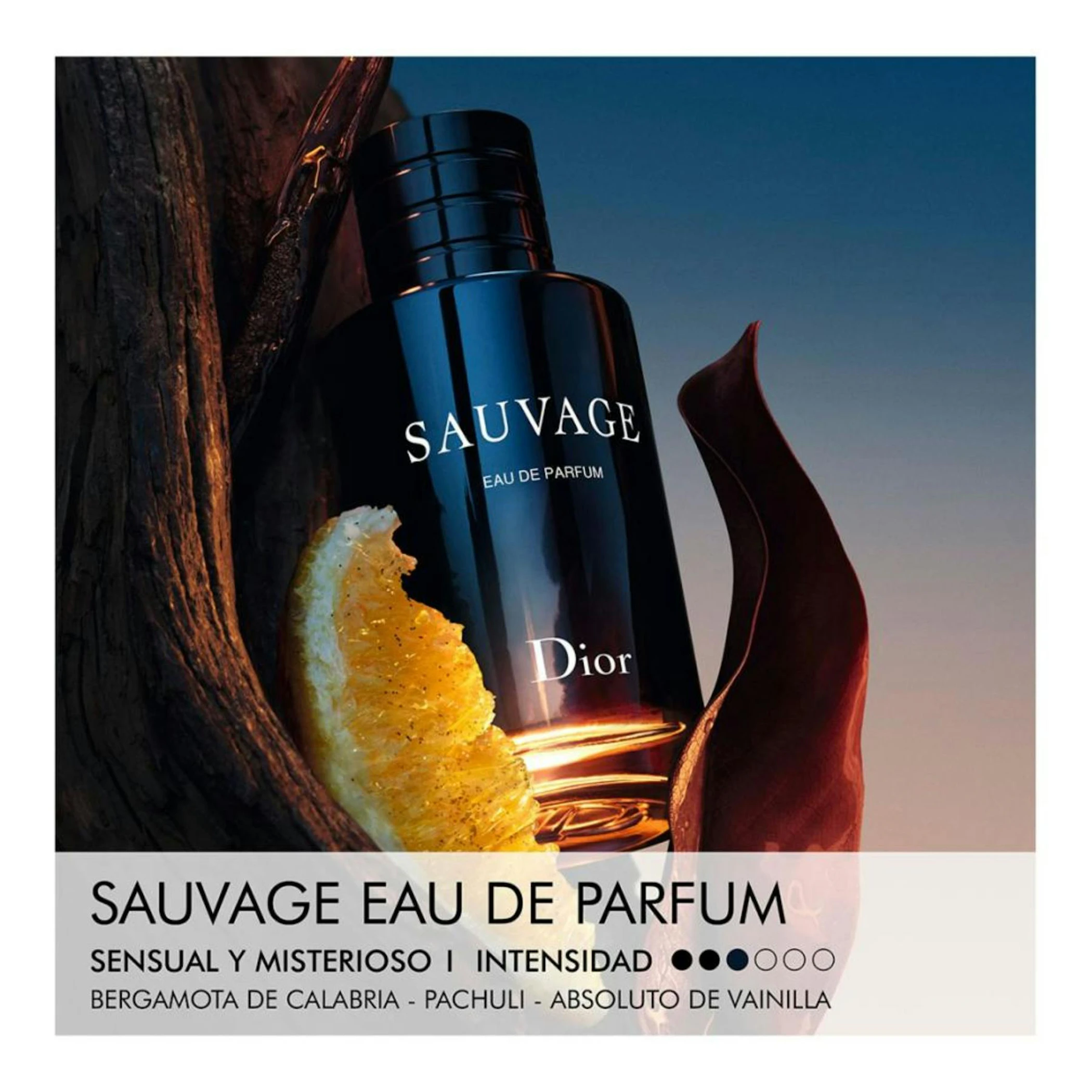Eau De Parfum Sauvage Dior 200Ml