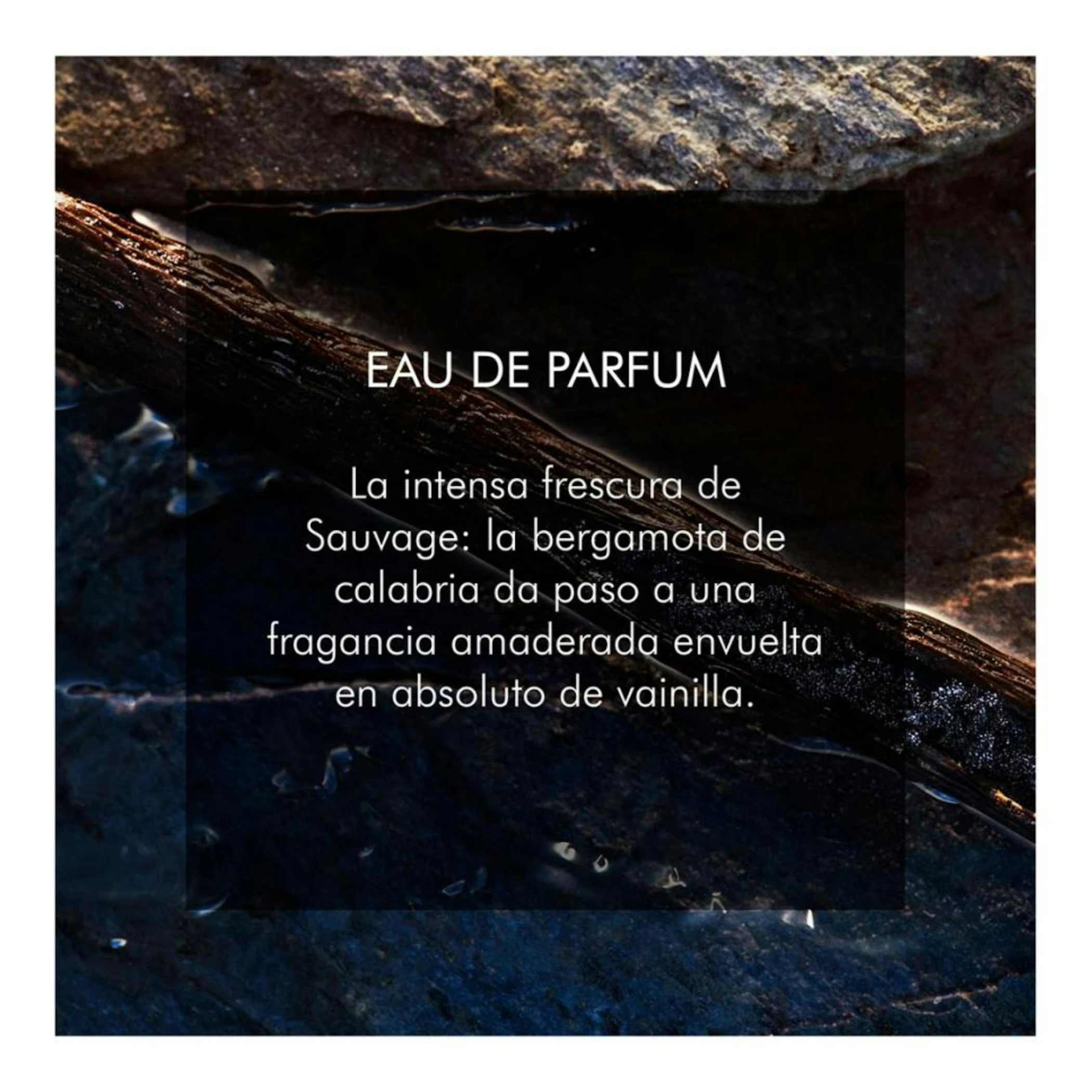 Eau De Parfum Sauvage Dior 200Ml