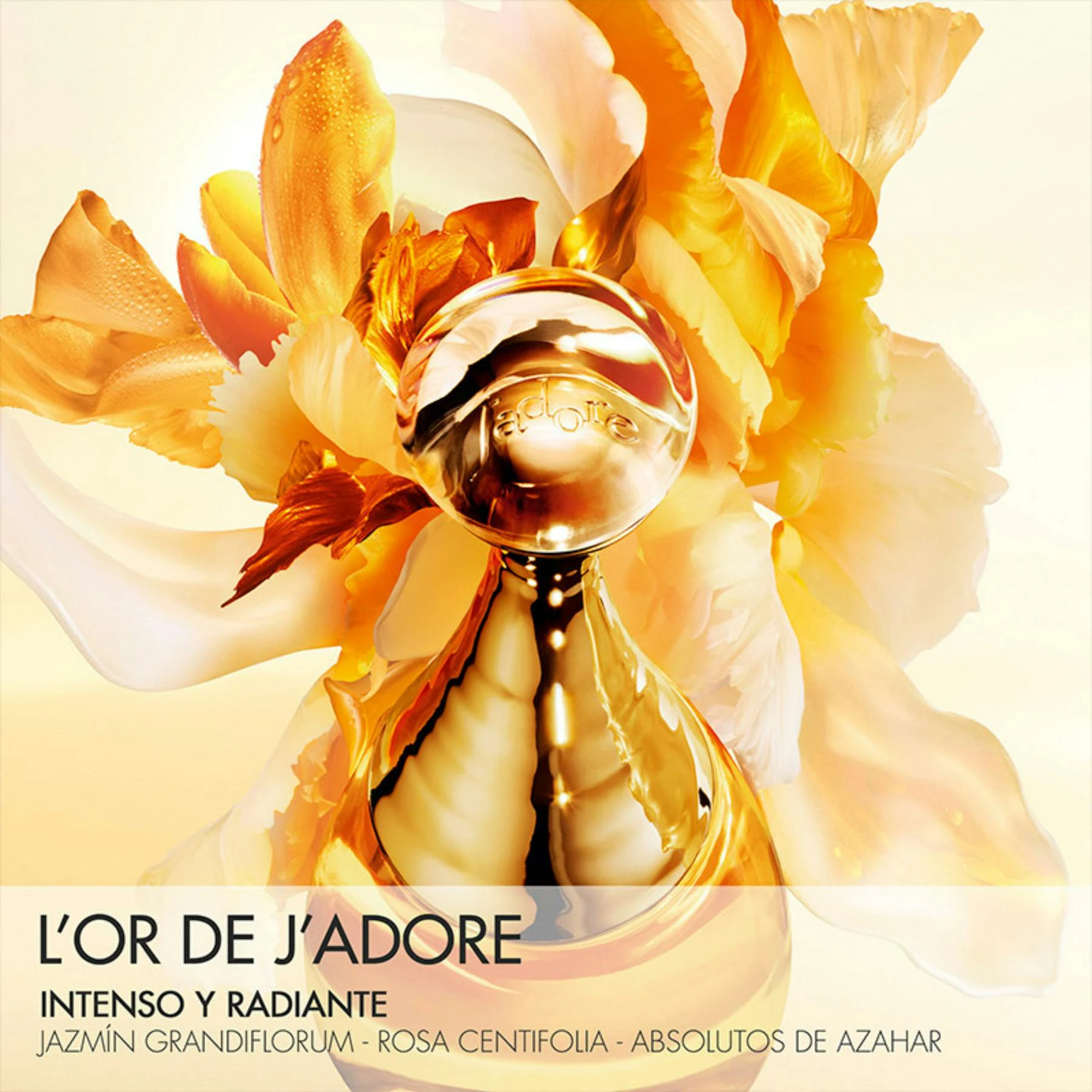 Essence De Parfum J'Adore L'Or Dior 50Ml