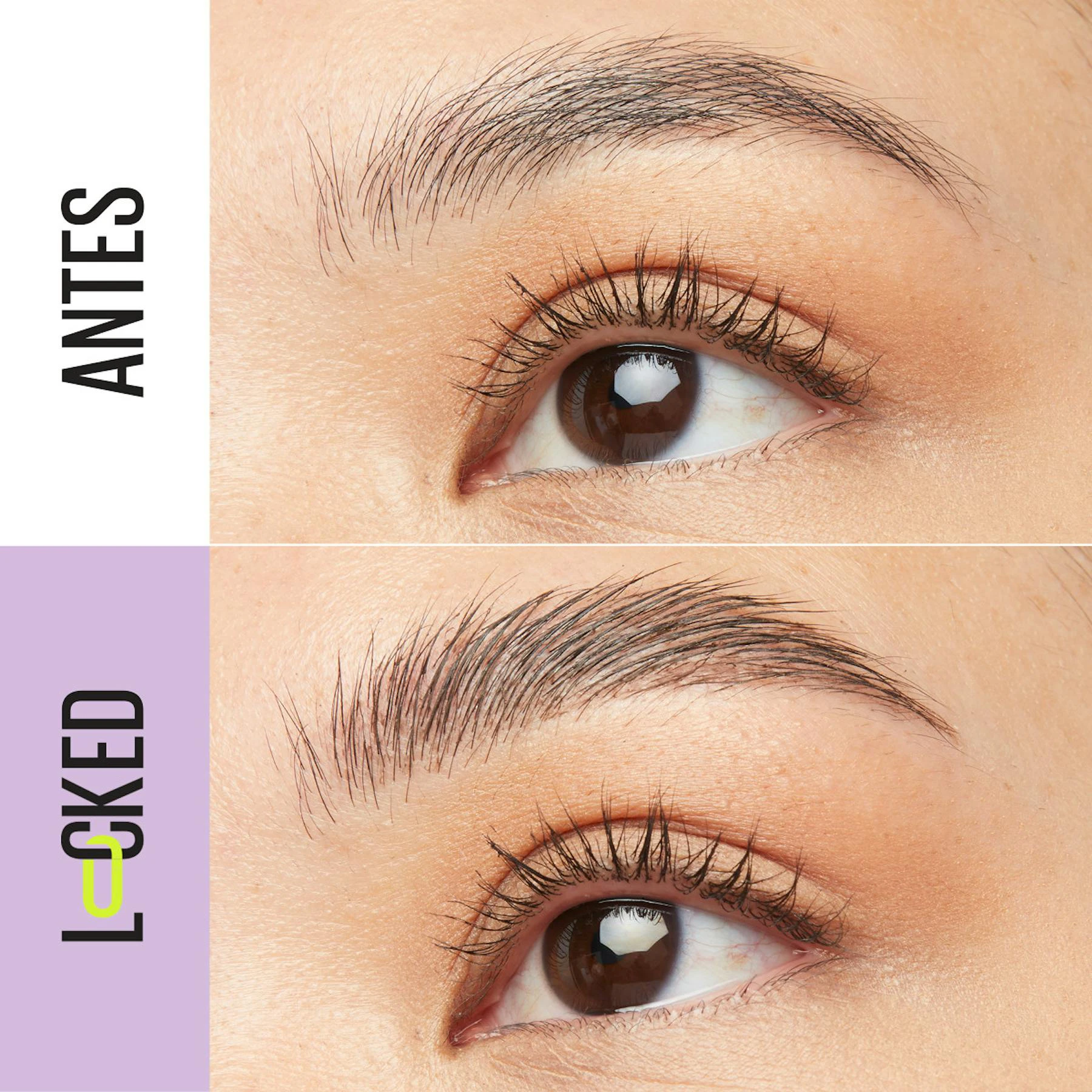 Fijador De Cejas Superlock Maybelline