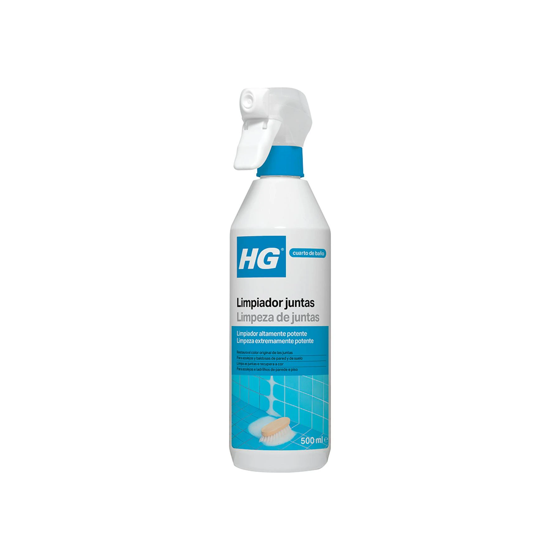 Limpiador Juntas HG 500Ml