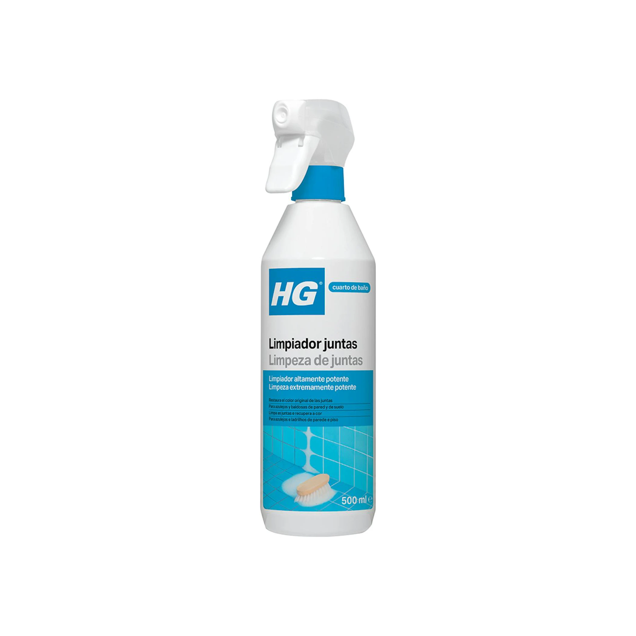 Limpiador Juntas HG 500Ml 0
