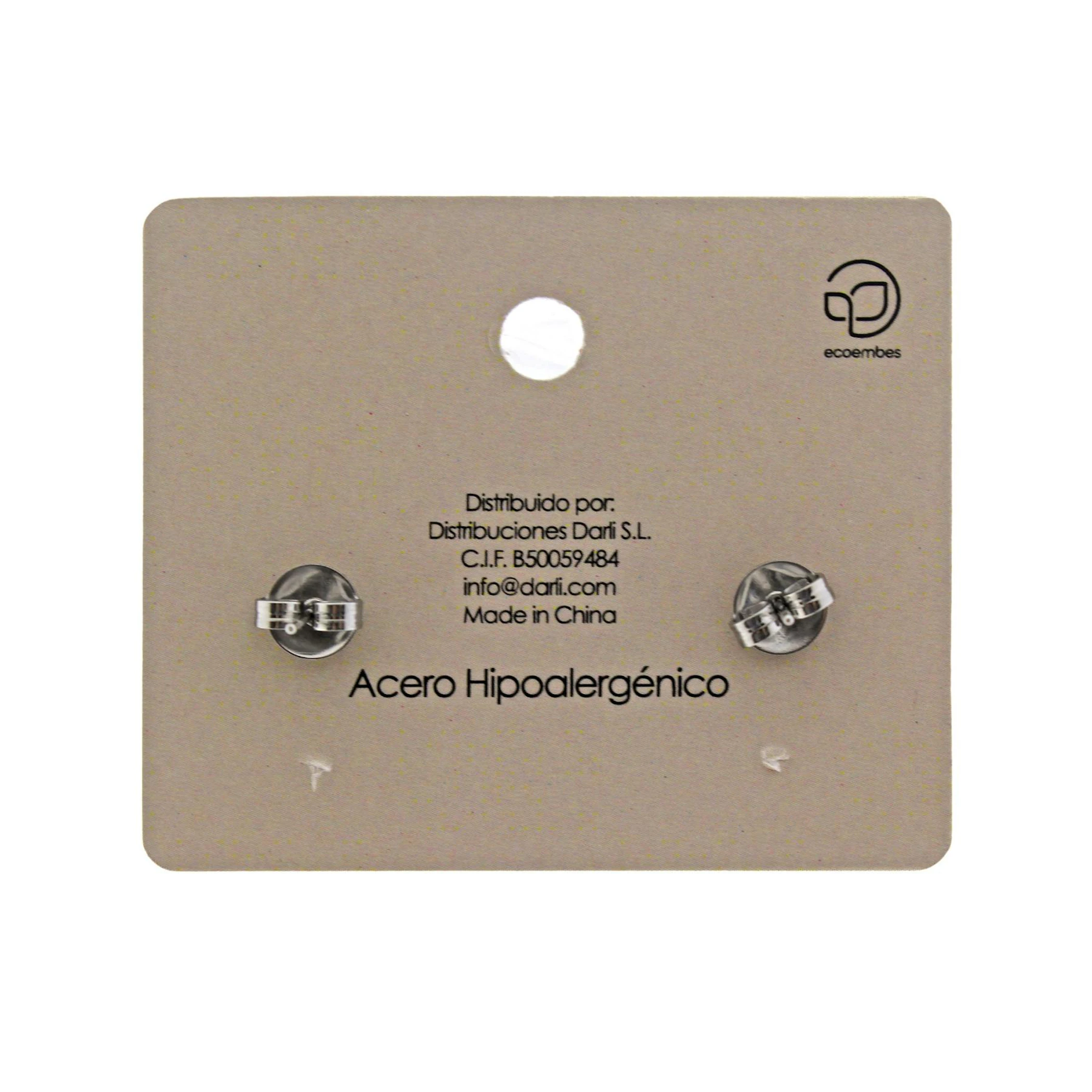 Brincos De Aço Modelo 19 Accesoriomania