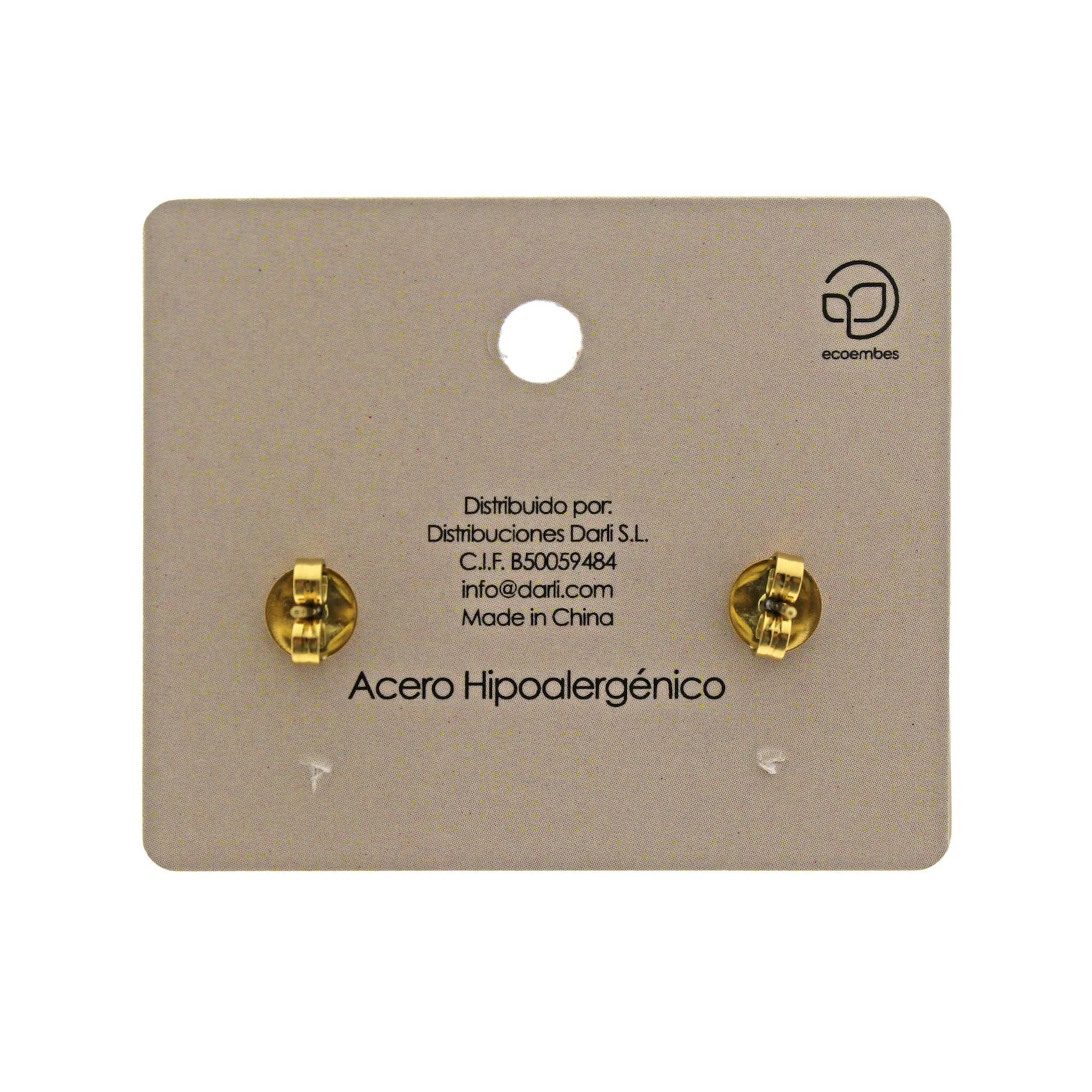 Brincos De Aço Modelo 5 Accesoriomania