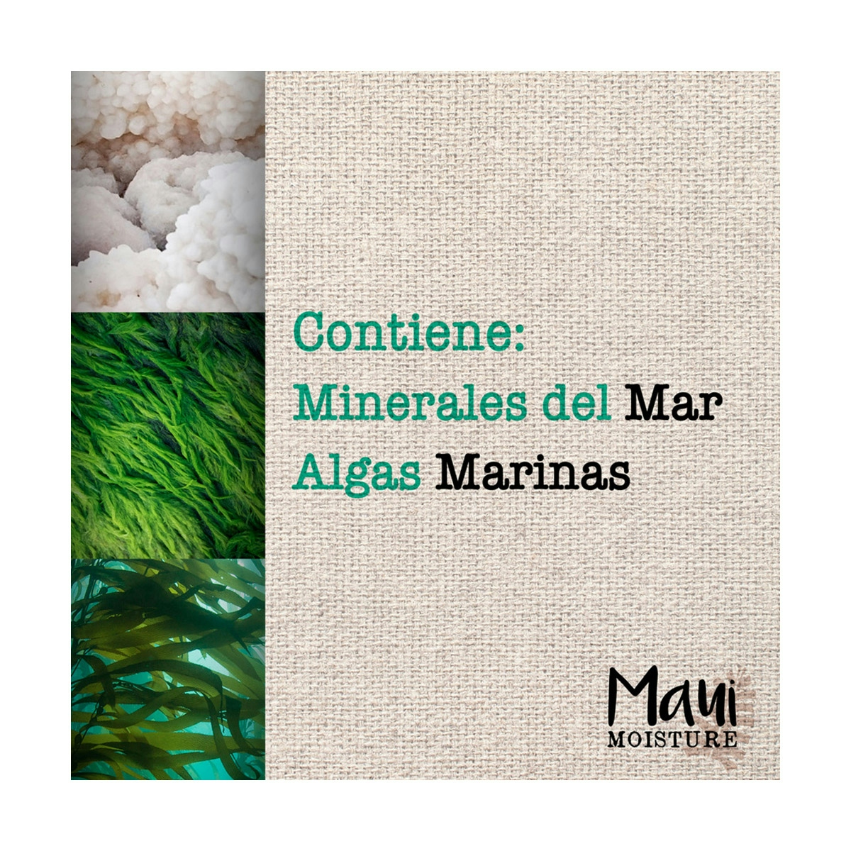  Moisture, Champú Protección del Color y Minerales Marinos, pelo Teñido, 385 ml