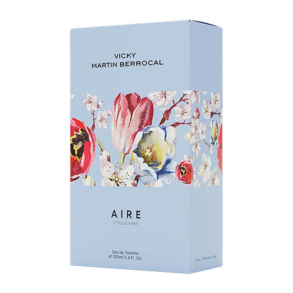 Eau De Toilette Aire Vicky Martin Berrocal 100Ml Eau De Toilette Aire Vicky Martin Berrocal 100Ml 0