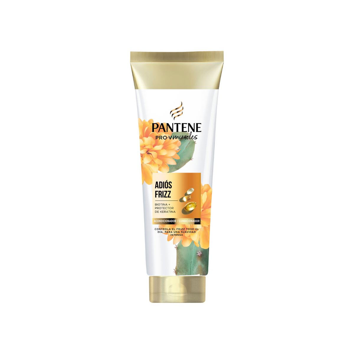 Imagen de Acondicionador Catus Pantene 160Ml