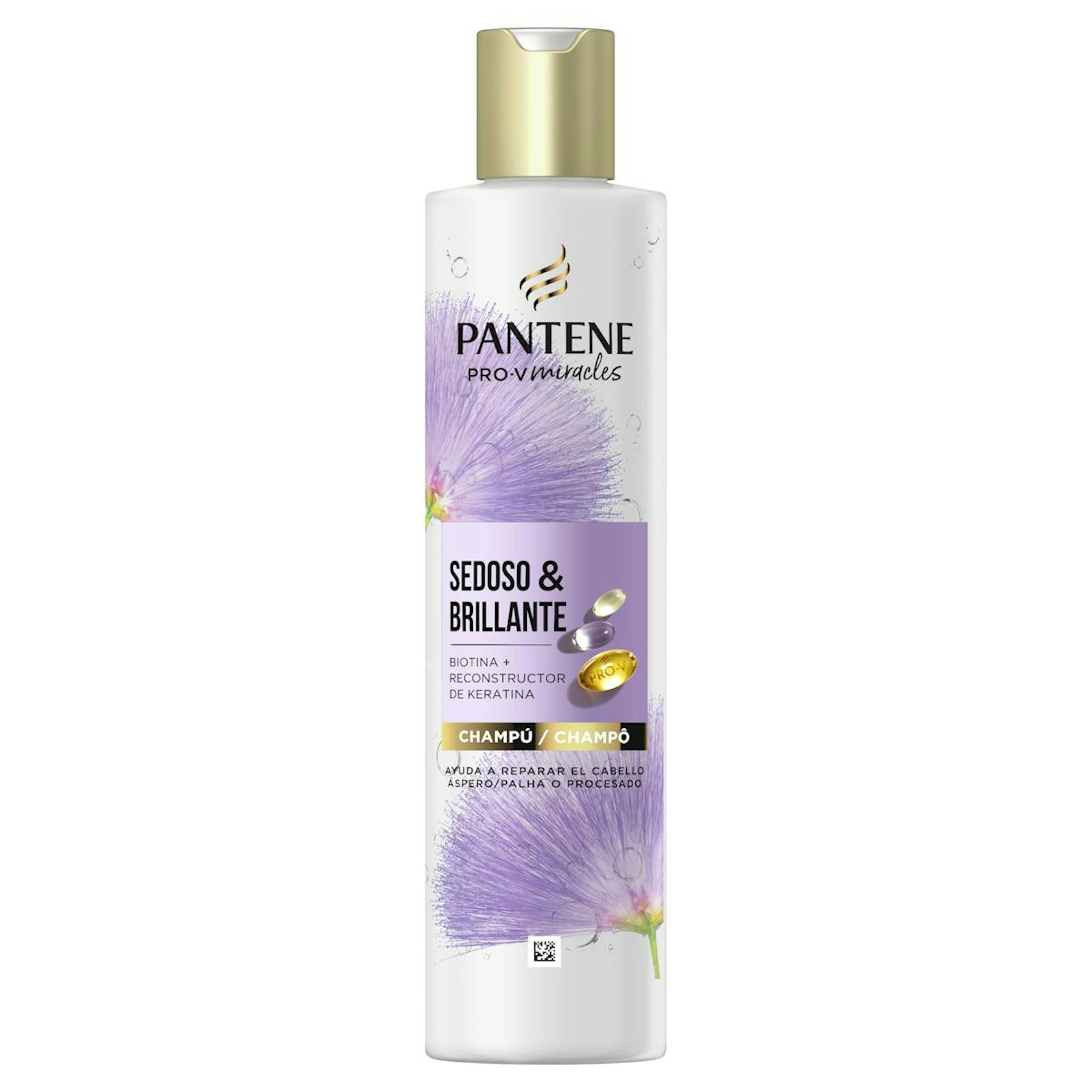 Champú Sedoso & Brillante Pantene 250Ml 0