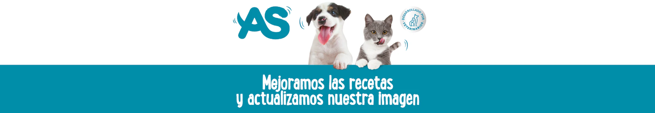 wysiwyg/2024/1/AS_categoria_pc.png