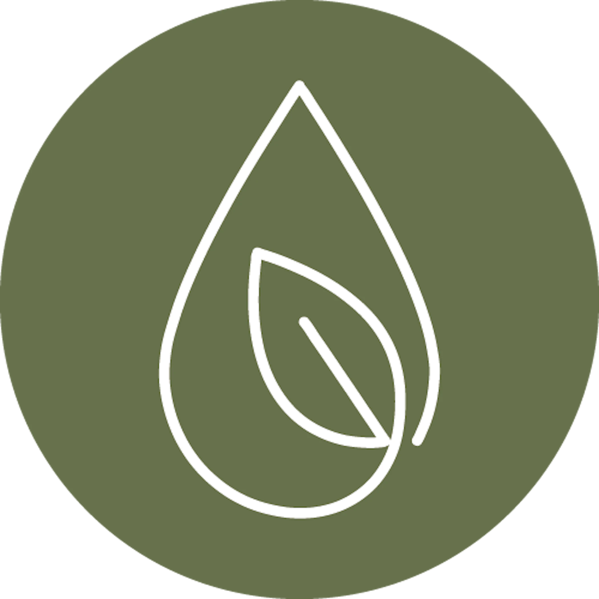 Imagen ECO